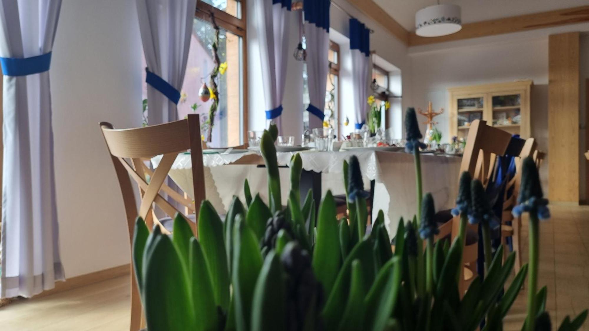 Apartment Zakatek Reja